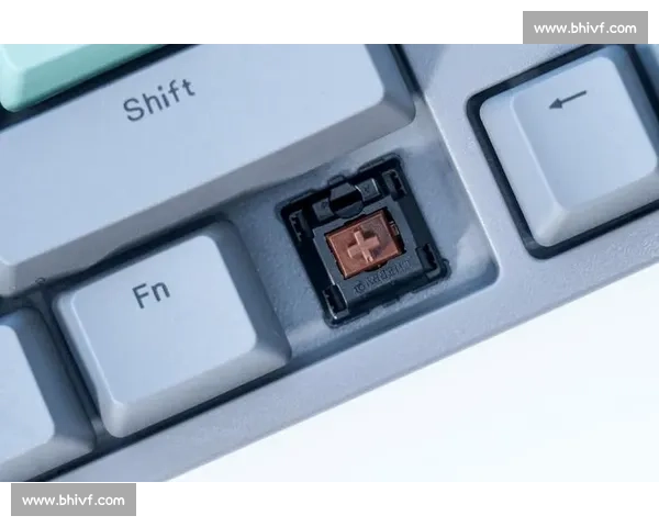 键位设置优化指南:提升输入效率与舒适度的实用技巧